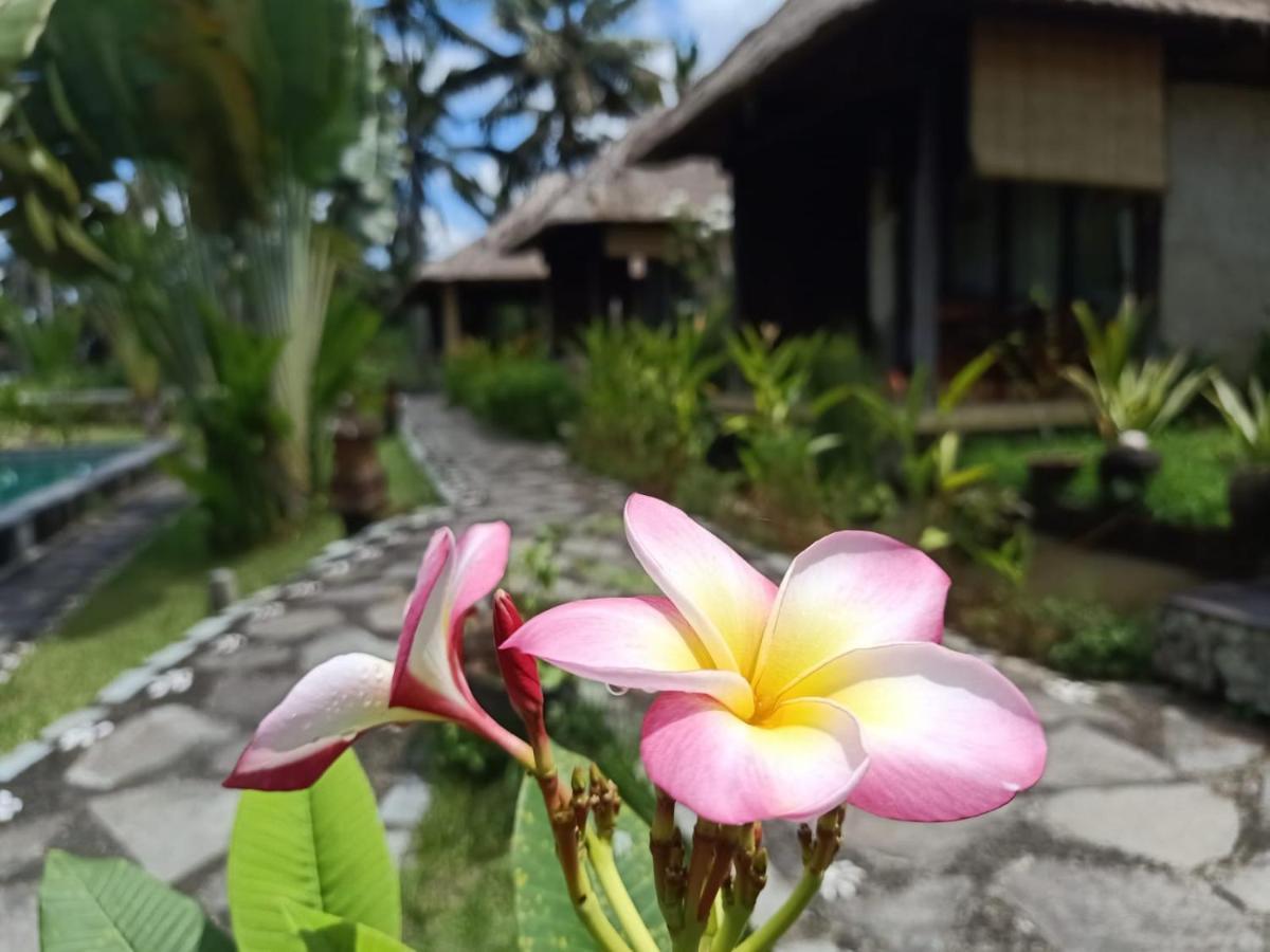 Taman Bintang Villa Ubud Kültér fotó