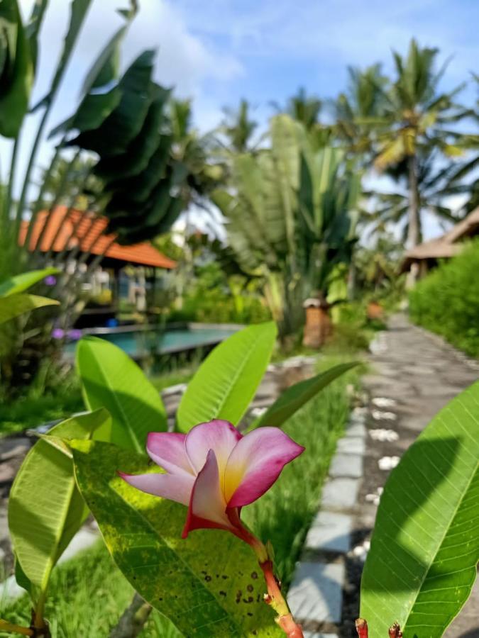 Taman Bintang Villa Ubud Kültér fotó