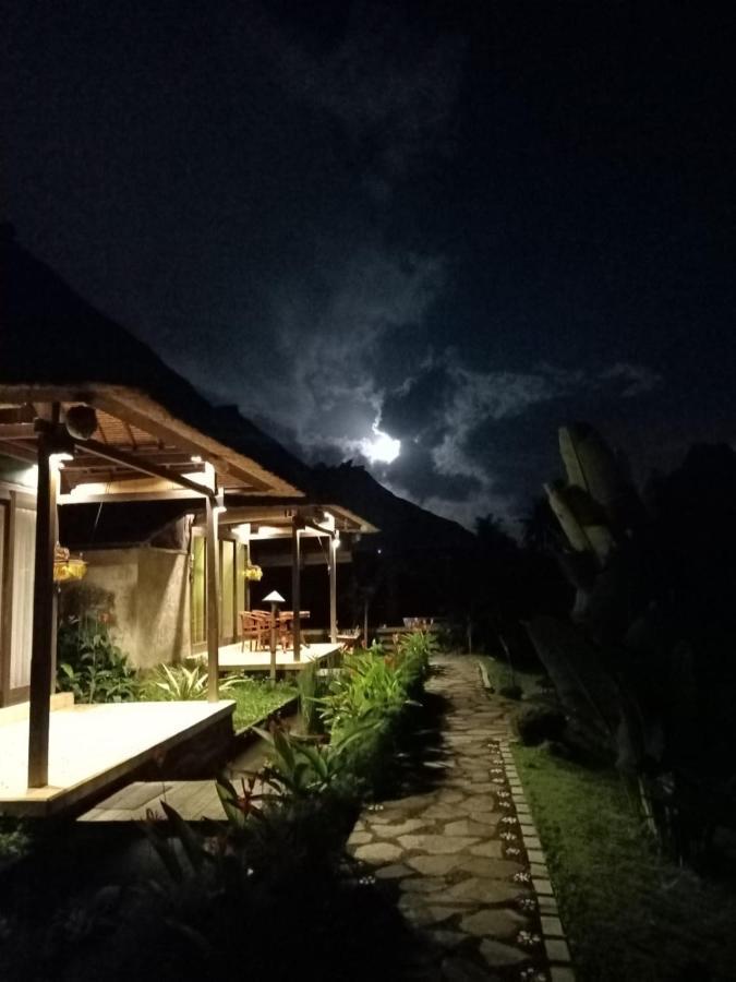 Taman Bintang Villa Ubud Kültér fotó