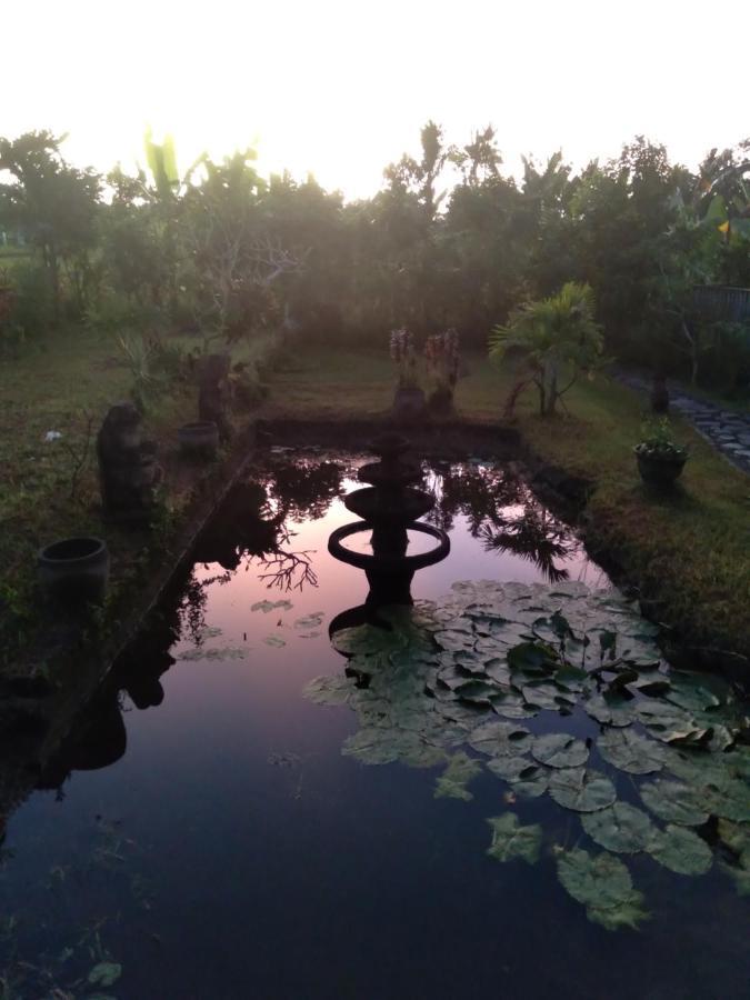 Taman Bintang Villa Ubud Kültér fotó