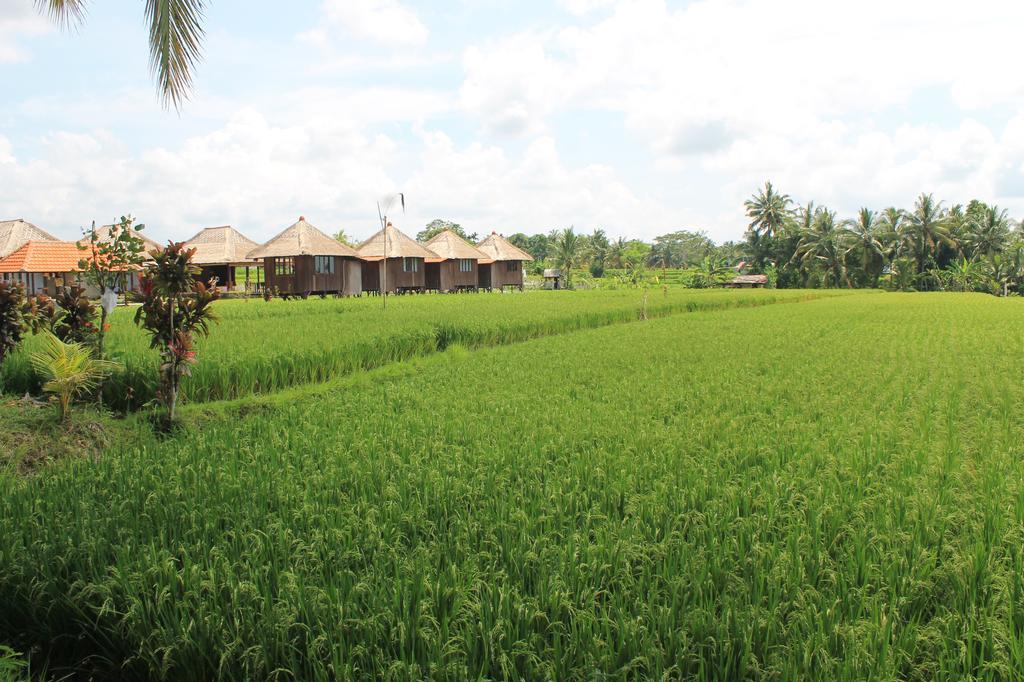Taman Bintang Villa Ubud Kültér fotó